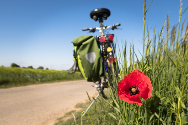 Zomerse verkoeling: 5x fietsroute - zomertips