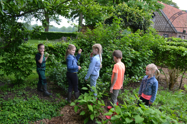 Waardplantenactie-PLUS voor scholen in de gemeenten Losser en Oldenzaal