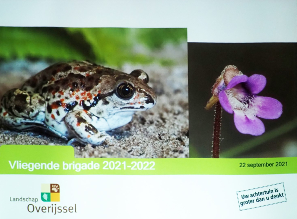 De Vliegende Brigade is weer gestart