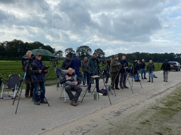 De Euro-Bridwatch op telpost Oelemars