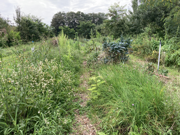 Bioplanten laten je tuin leven