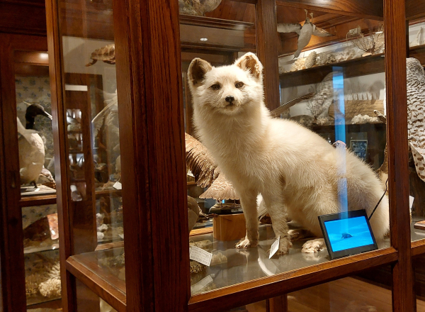 Groenbezig-lentetips: natuurmusea in Overijssel