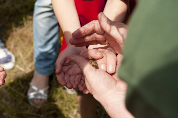 Laat kinderen de natuur ontdekken!