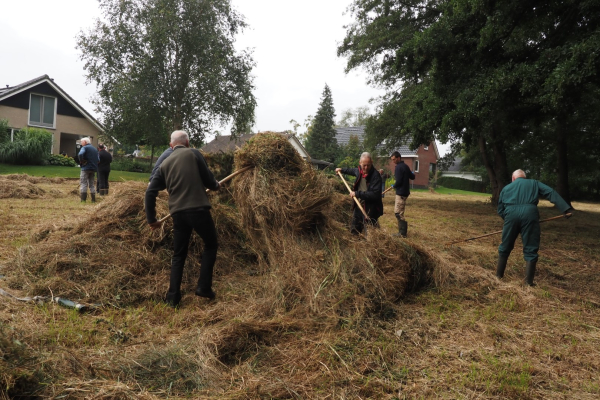 Een groen hart en groene vingers