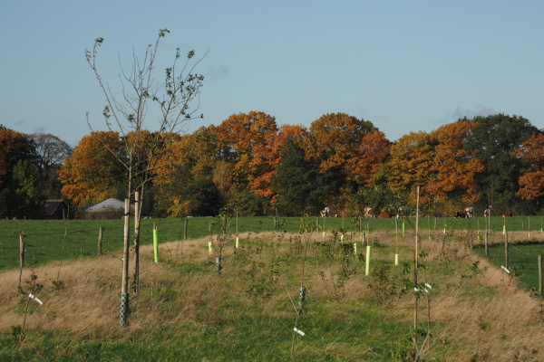 BIO-boeren met veel aandacht voor biodiversiteit