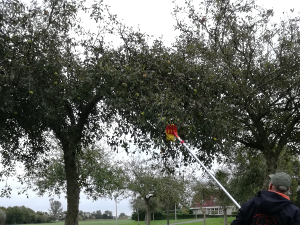 Ideaal hulpmiddel: fruitplukker op steel