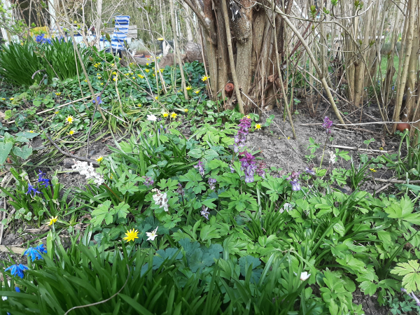 Groenbezig Festival smaakt naar meer