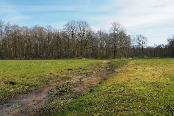 slenk in weiland