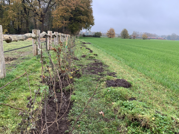 Help jij een stel jonge boeren?