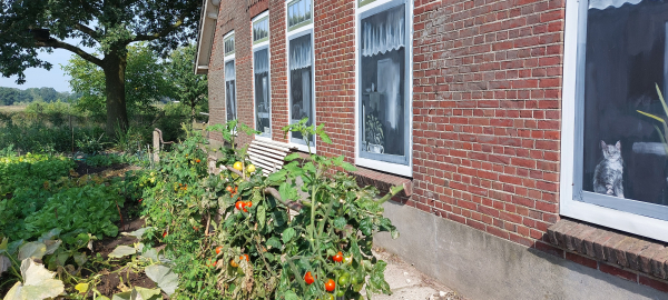 Erve Peeze is weer een Twents boerenerf