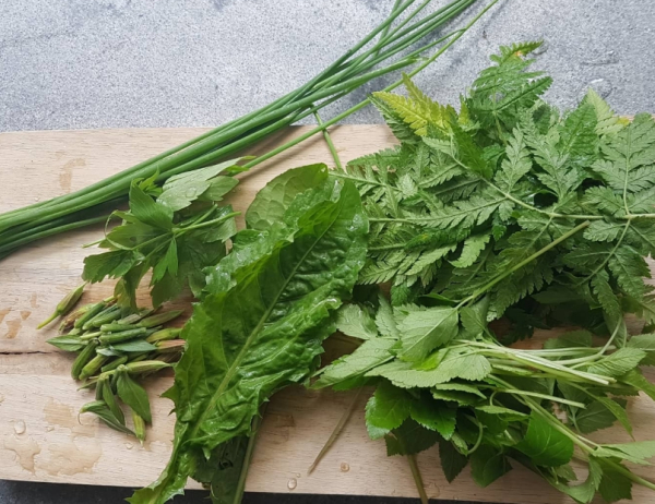 Speciaal voor lezers van de nieuwsbrief: korting op Wildplukwandeling!