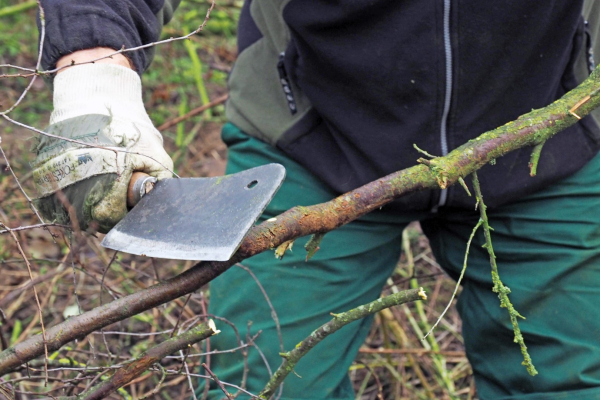 Scherp gereedschap, veiligheid voorop