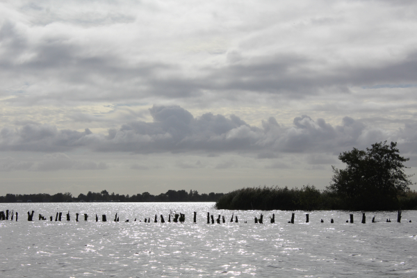 watervrijwilligers