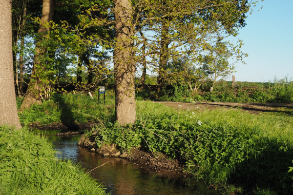 De Mosbeek elders in het stroomgebied
