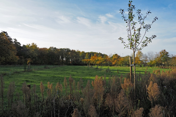 Overzicht proeftuin Lettele, foto genomen vanuit de voedselwal