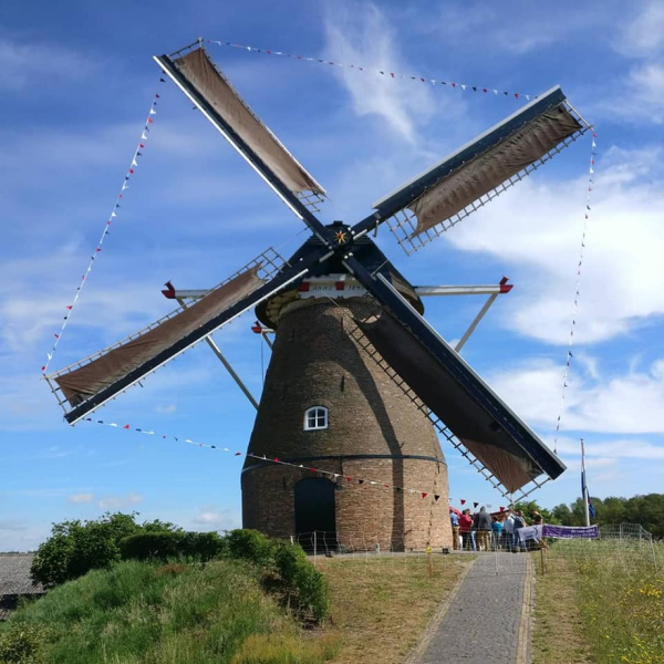 Molen Frielink, open voor publiek