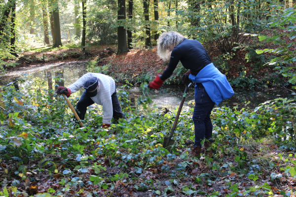 We werken aan een goed gemixte groep vrijwilligers...