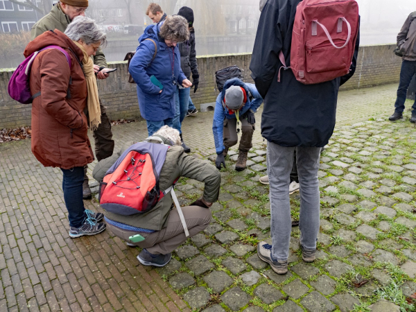 links op de foto voert Gerrit een gevonden bloeiende plant in de VERA-app in