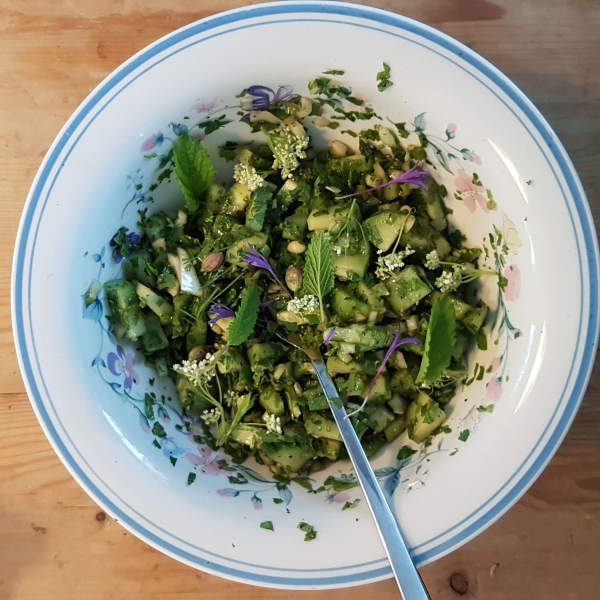 Heerlijke versgeplukte kruiden