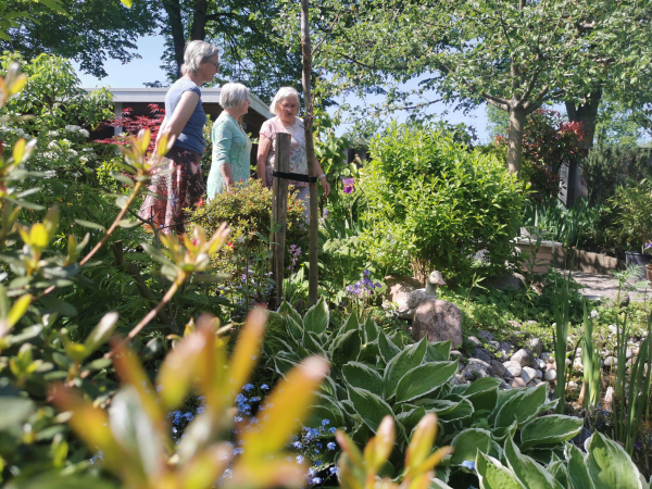 Open tuinendag Eigenzinnige Tuinen Hengelo
