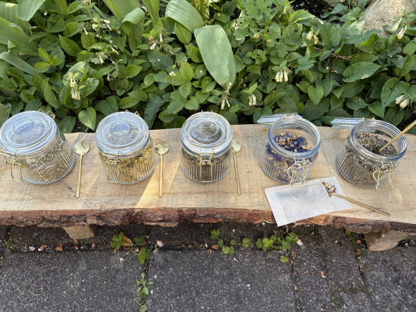 Maak je eigen kruidenthee!