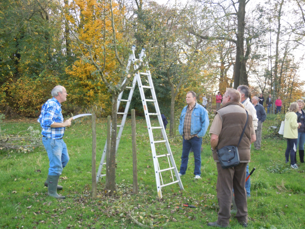 snoeien met handgereedschap