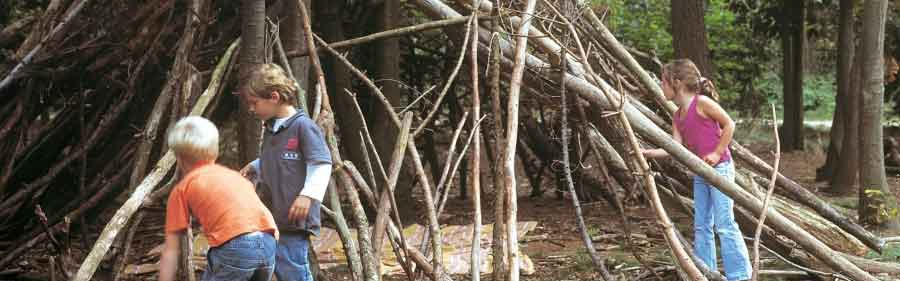 speelbos